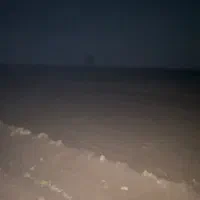 جو‌‌‌بندری