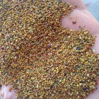 بذر شبدر وبذر یونجه پایه بلند اصلاح شده|خدمات باغبانی و درختکاری|نهاوند, |دیوار