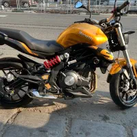 بنلی طلایی ۳۰۰