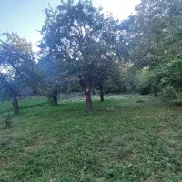 باغ|فروش زمین و ملک کلنگی|کندوان, |دیوار