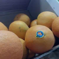 اثطوایی|خوردنی و آشامیدنی|کاشان, میدان کهنه|دیوار