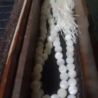 تسبیح صدف اصل