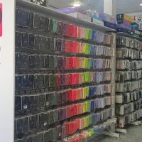 همکار خانم منشی حسابدار