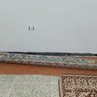 یک عدد کلیم فرش نومناسب جهیزیه عروس