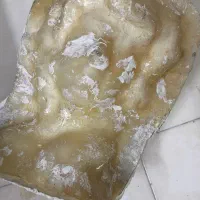 قالب پلی استر گلدون|صنایع دستی و سایر لوازم تزئینی|شیراز, شاهجیان|دیوار