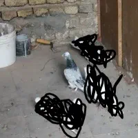 شازده سرور گمشده|حیوانات|بومهن, |دیوار