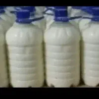 دوغ و کره گاوی محلی خالص به شرط