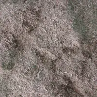 خار|لوازم جانبی حیوانات|رضویه, |دیوار