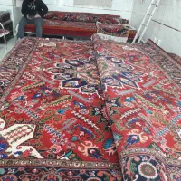 فرش هریس. گوراوان|فرش|هریس, |دیوار