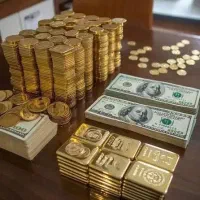 رحم جایگزین ایرانی اتباع فوری