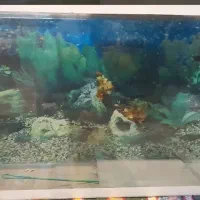 فروش ویژه ** اکواریوم ماهی  **