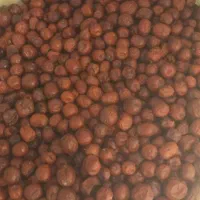 عناب خوشک|خوردنی و آشامیدنی|مشهد, اروند|دیوار