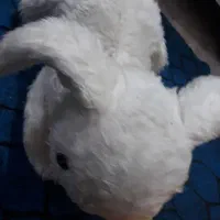 عروسکهاسالم ونوهمشون فقط۵۰هزارتومان|اسباب‌بازی بچه|بندر ماهشهر, |دیوار