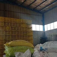 استخدام نیرو آقا بسته بندی سبد