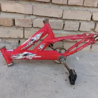 یک عدد تنه دوچرخه ۱۲ سالم برابر