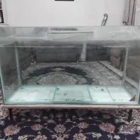 اکواریوم بزرگ فروش فوری.|ماهی|آبیک, |دیوار