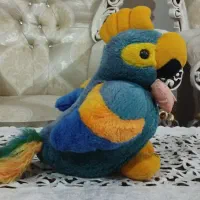 عروسک طوطی زیبا