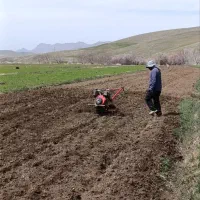شخم با تیلر ۱۰ اسب