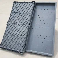 سینی‌نشا‌برنج