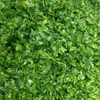 استخدام فروشنده و همکار خانم در سبزی خردکنی