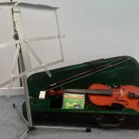 ویلون هافنر ۲/۴