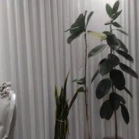 پرده پذیرایی حریر نازلی مدل مینی‌مال جدید|پرده، رانر، رومیزی|الوند, |دیوار
