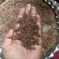 کنجد|عمده‌فروشی|جره و بالاده, |دیوار