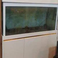 قیمت مناسب و سالم|لوازم جانبی حیوانات|تهران, جوادیه تهرانپارس|دیوار