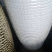 گل وگیاه اپارتمانی وباغچه|گل و گیاه طبیعی|شوش, |دیوار