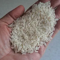 فروش برنج طارم هاشمی