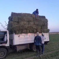 نیسان زیدف همچیی همون نیسان آبی|خودرو سواری و وانت|تهران, بروجردی|دیوار