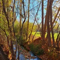 راننده خانم.هستم. در محیطی آرام و پر از امنیت