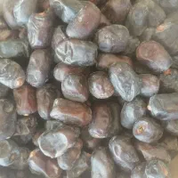 خرمای مضافتی