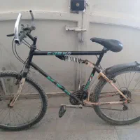 دوچرخه ۲۶ تنه بلند