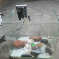 آکواریوم به همراه فیلتر تصفیه آب و تور ماهی