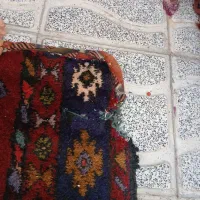 دو عدد فرش دست بافت کناره|فرش|تبریز, |دیوار