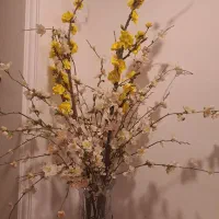 ده عدد گل شکوفه بهار برند ویرا هوم