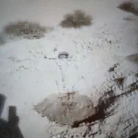 زمین باغی مزرعه شهید مهاجر(نزدیک شاهین شهر)