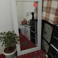 ۲ تا اینه قدی