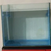 اکواریوم|ماهی|سراب, |دیوار