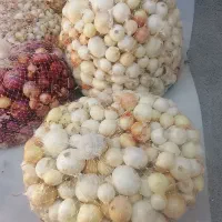 پیاز سفیدو زرد|خوردنی و آشامیدنی|کرمانشاه, |دیوار