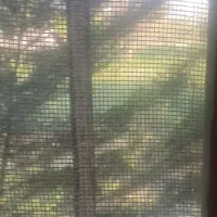 سرایدار  خانه باغ