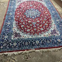 دو عدد قالی شش متری ویک گلیم شش متری|فرش|مزرعه کتول, |دیوار