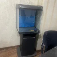 اکواریوم شیشه خم ماهیران