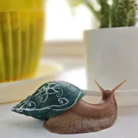 حلزون البینو آچاتینا