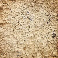 فروش زمین در شهر سربیشه