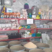 بار جدید ملزومات پرنده و پرنده