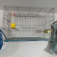 قفس پرنده