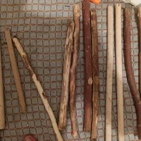 جا دونی جا آبی‌ جا غذایی و چوپ طوطی سان|لوازم جانبی حیوانات|رامهرمز, |دیوار