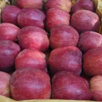 سیب قرمز درجه یک|خوردنی و آشامیدنی|نوشین شهر, |دیوار